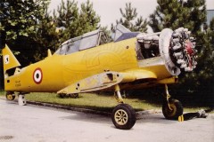 Pronto per il trasferimento ad Atina - Foto archivio IHAP